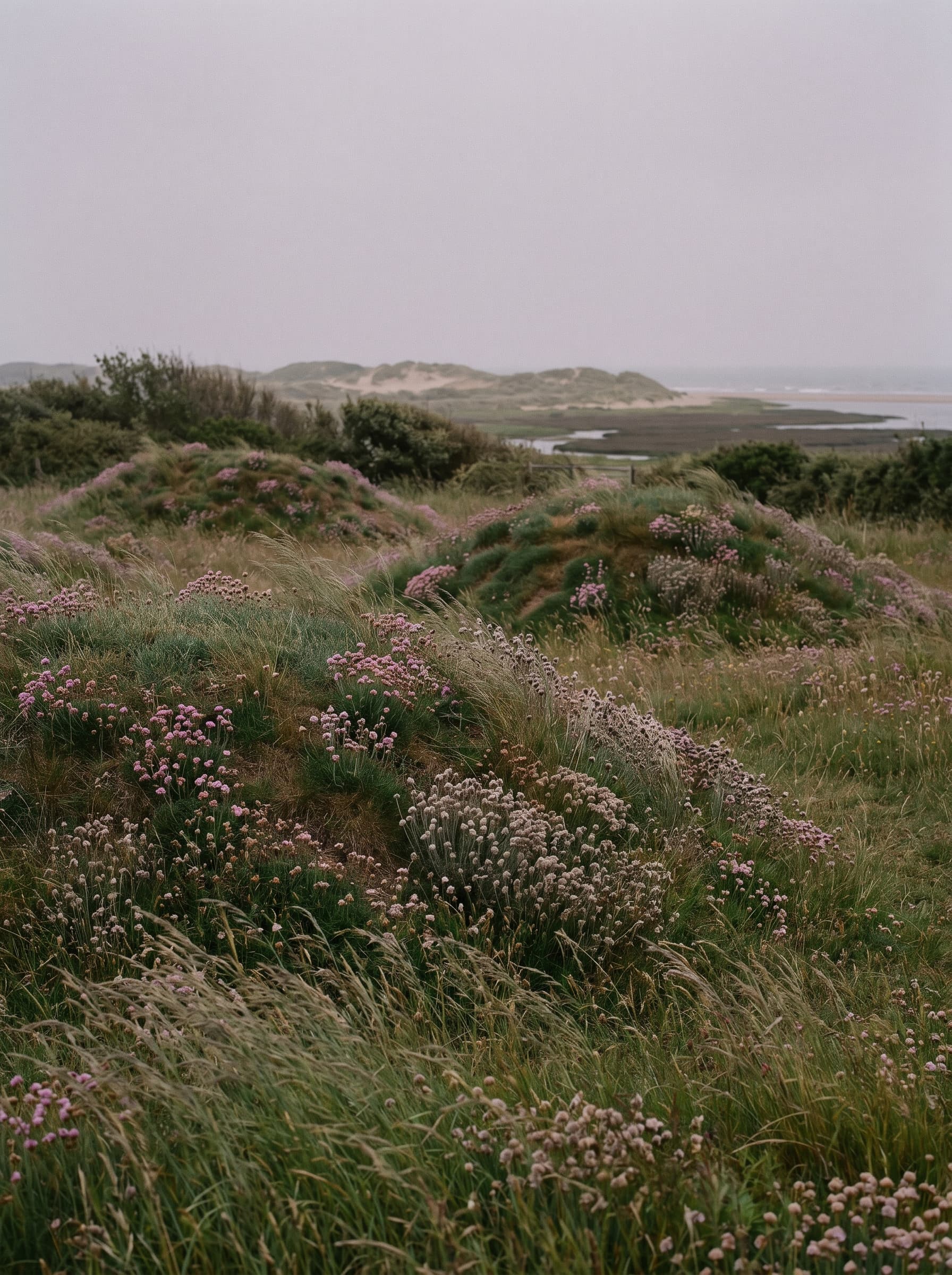 Walberswick — Suffolk Coast